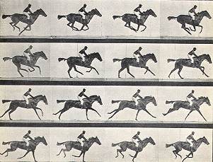 Het paard van Edward Muybridge